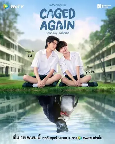 caged-again-the-series-2024-hinh-anh-4 Caged Again The Series poster hai nam chính ngồi cùng phản chiếu dưới nước
