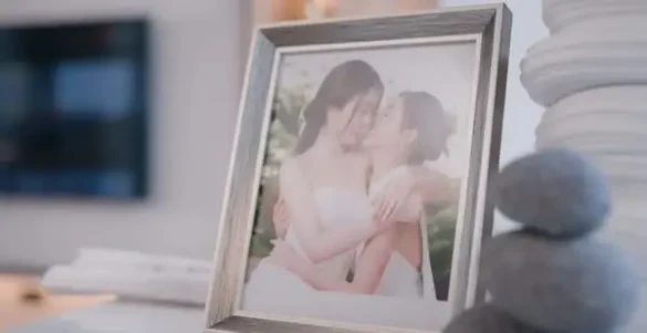 Thư viện ảnh của phim Fulfill The Series