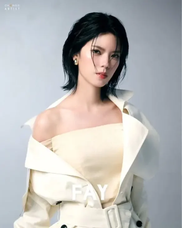 Lý lịch Fay Apisara Lertwisettheerakul