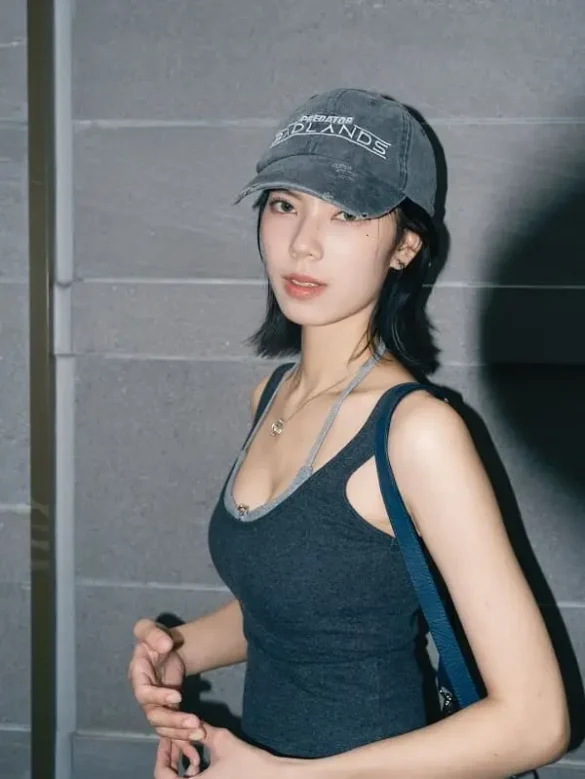 Sự nghiệp của Fay Apisara Lertwisettheerakul