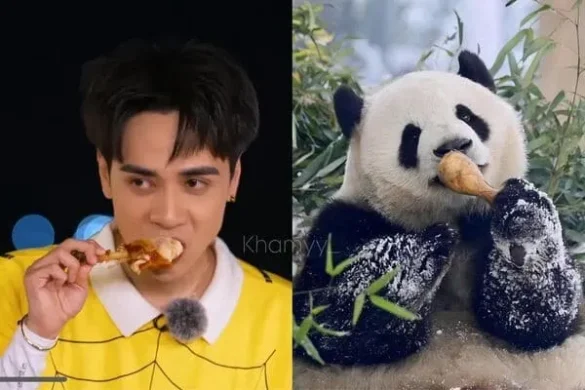 gau-truc-anh-quang-hung-masterd-dim-5 Gấu trúc ảnh Quang Hùng MasterD dìm gặm đùi gà